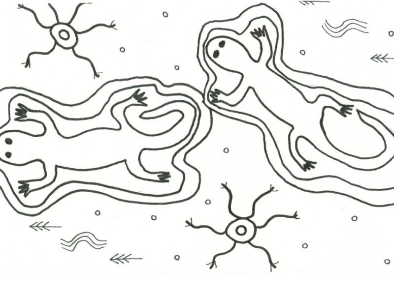 Indigenous Anthology