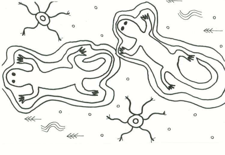 Indigenous Anthology